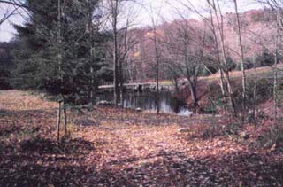front pond