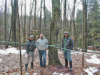 Tapping maple trees 2008