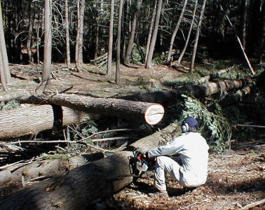 Logging operations