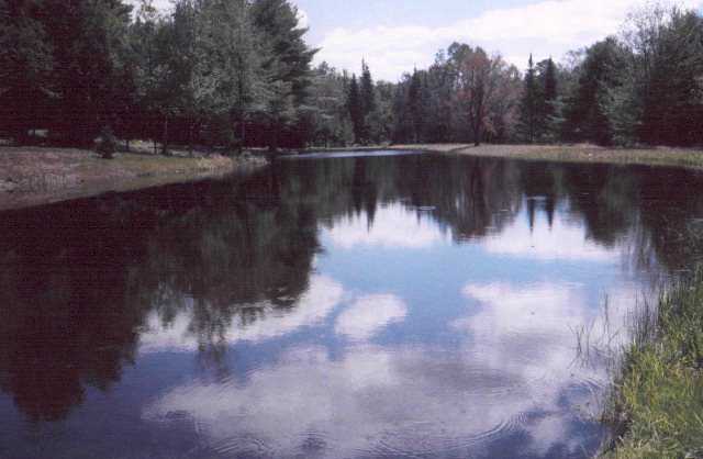 pond