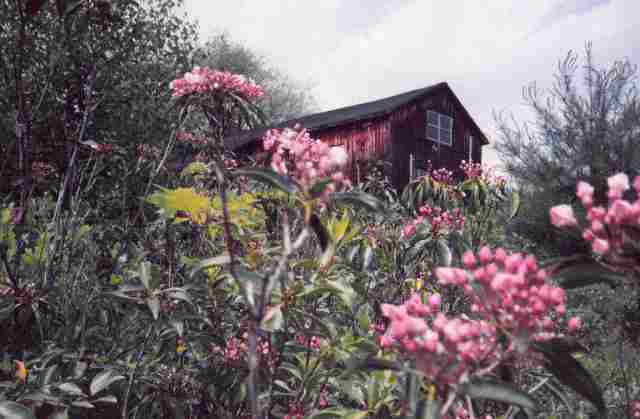 barn