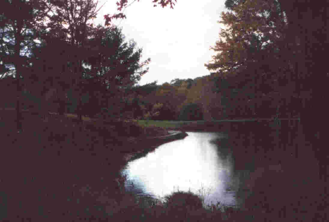 front pond '94