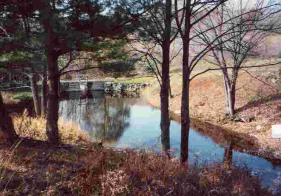 front pond '92