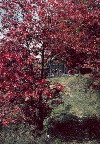 driveway and milkhouse