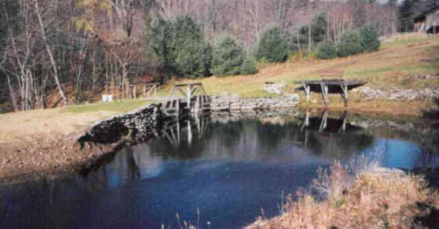 front pond