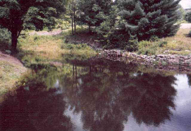 front pond