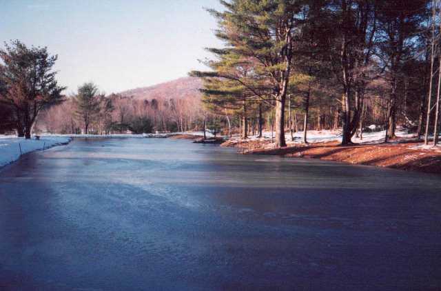 frozen pond