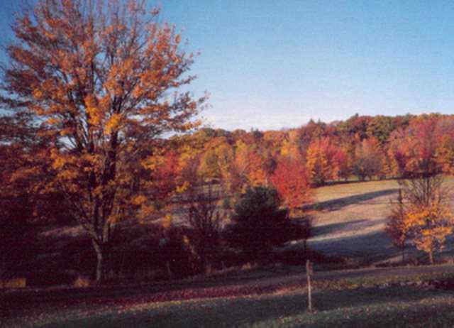 view from porch