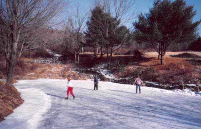 skating on front pond