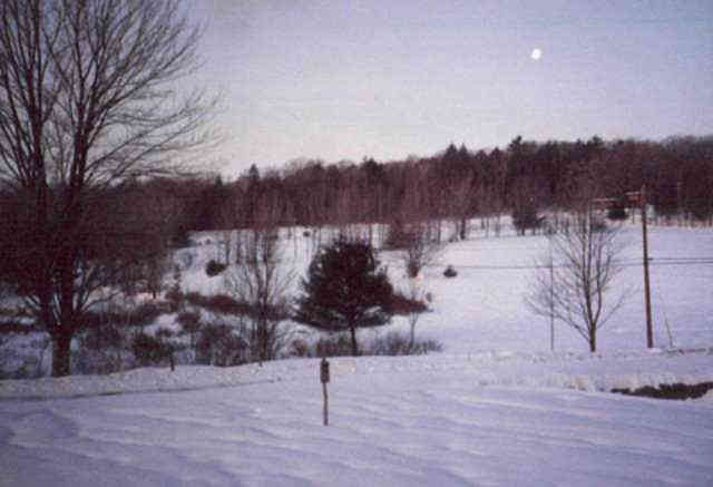 winter field